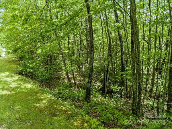 1.47 Acres of Land for Sale in Burnsville, North Carolina