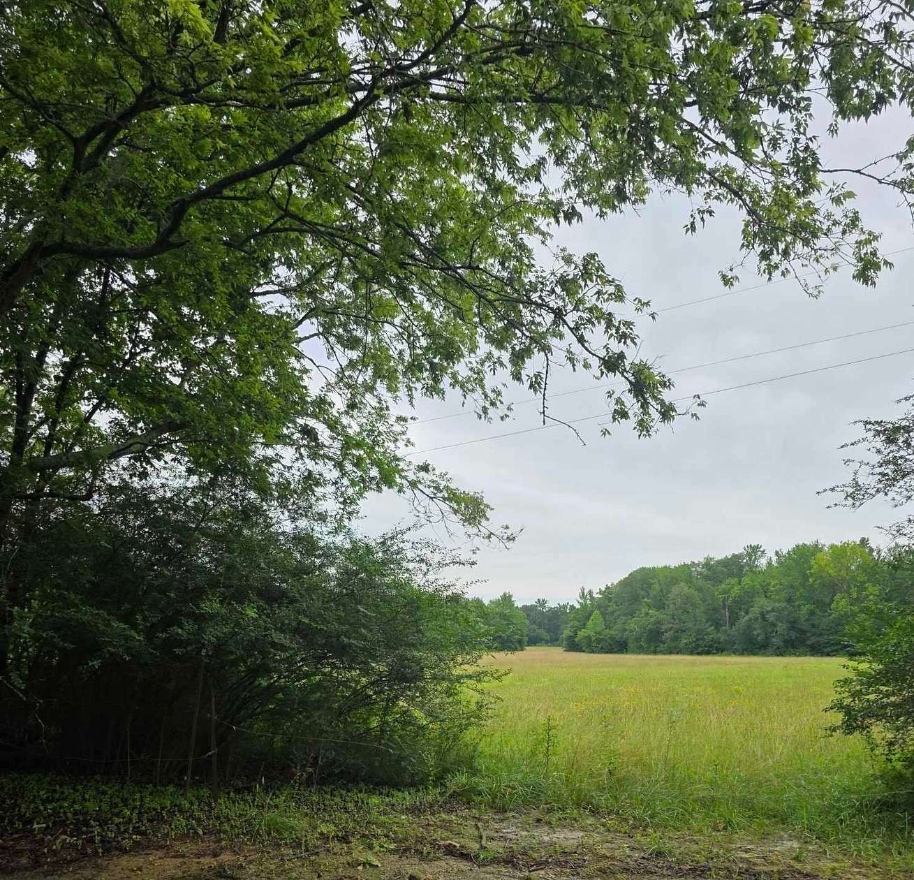 52 Acres of Land for Sale in Moulton, Alabama