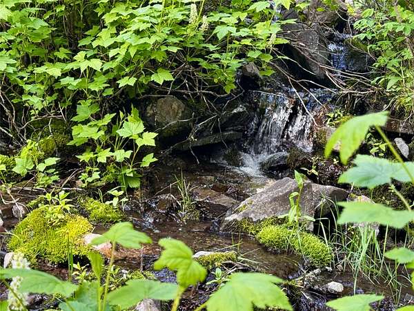 20 Acres of Land with Home for Sale in Helmville, Montana
