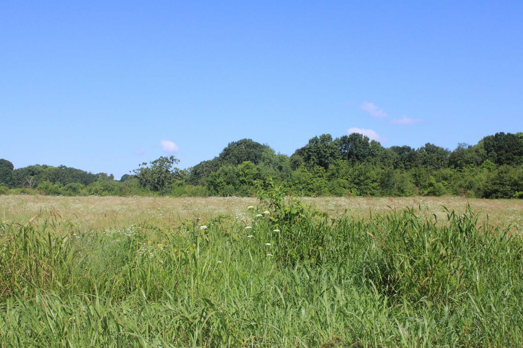 8.53 Acres of Mixed-Use Land for Sale in West Plains, Missouri