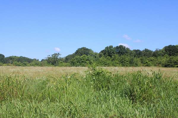 8.53 Acres of Mixed-Use Land for Sale in West Plains, Missouri