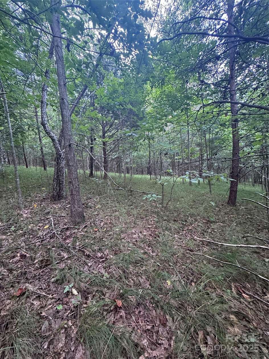 2 Acres of Residential Land for Sale in Rutherfordton, North Carolina