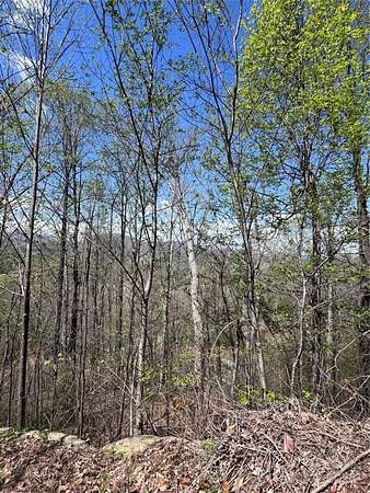 1.5 Acres of Land for Sale in Lake Lure, North Carolina