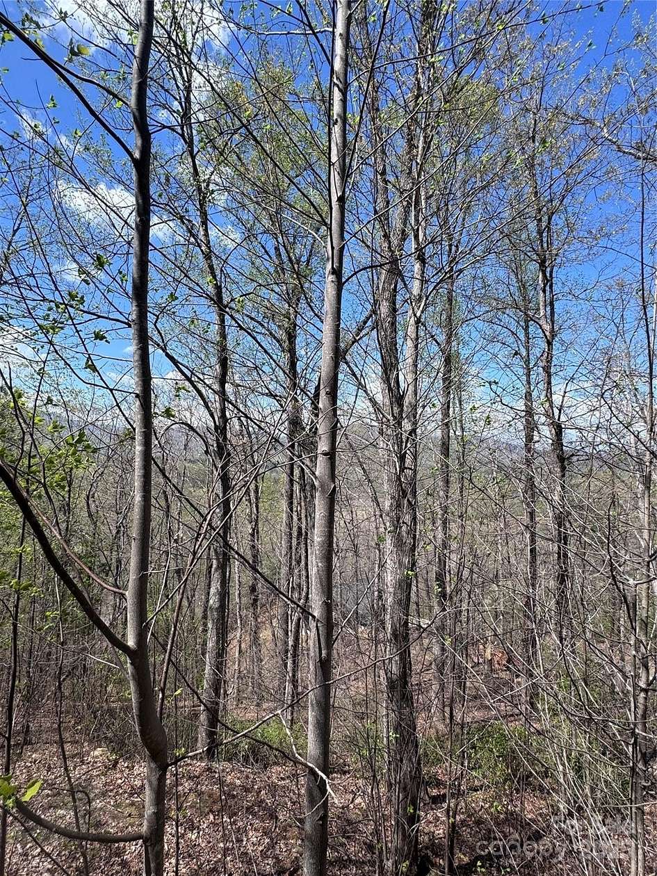0.99 Acres of Residential Land for Sale in Lake Lure, North Carolina