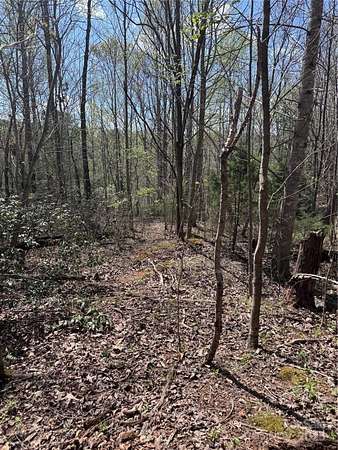 1.66 Acres of Residential Land for Sale in Lake Lure, North Carolina
