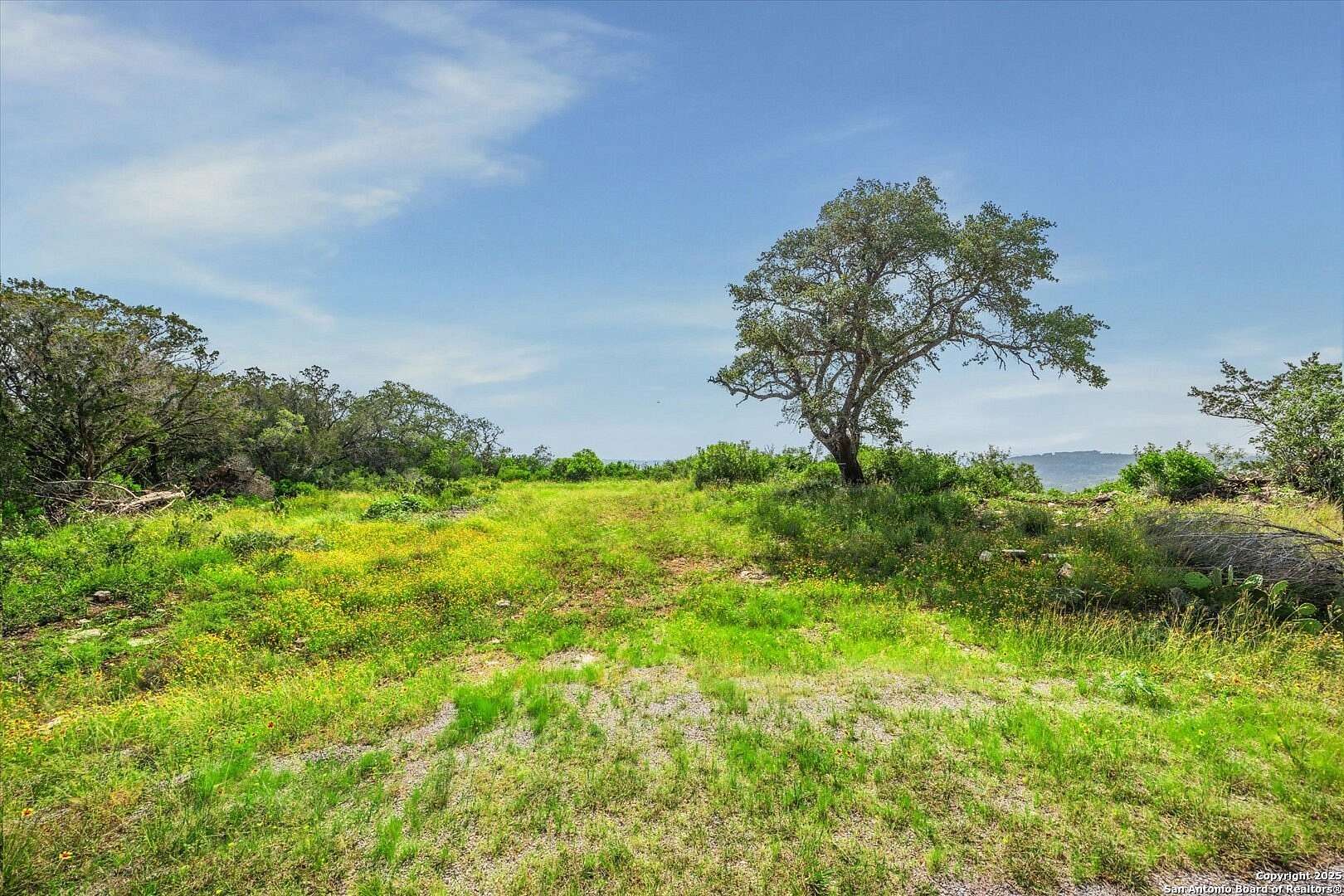 15 Acres of Land for Sale in Mico, Texas