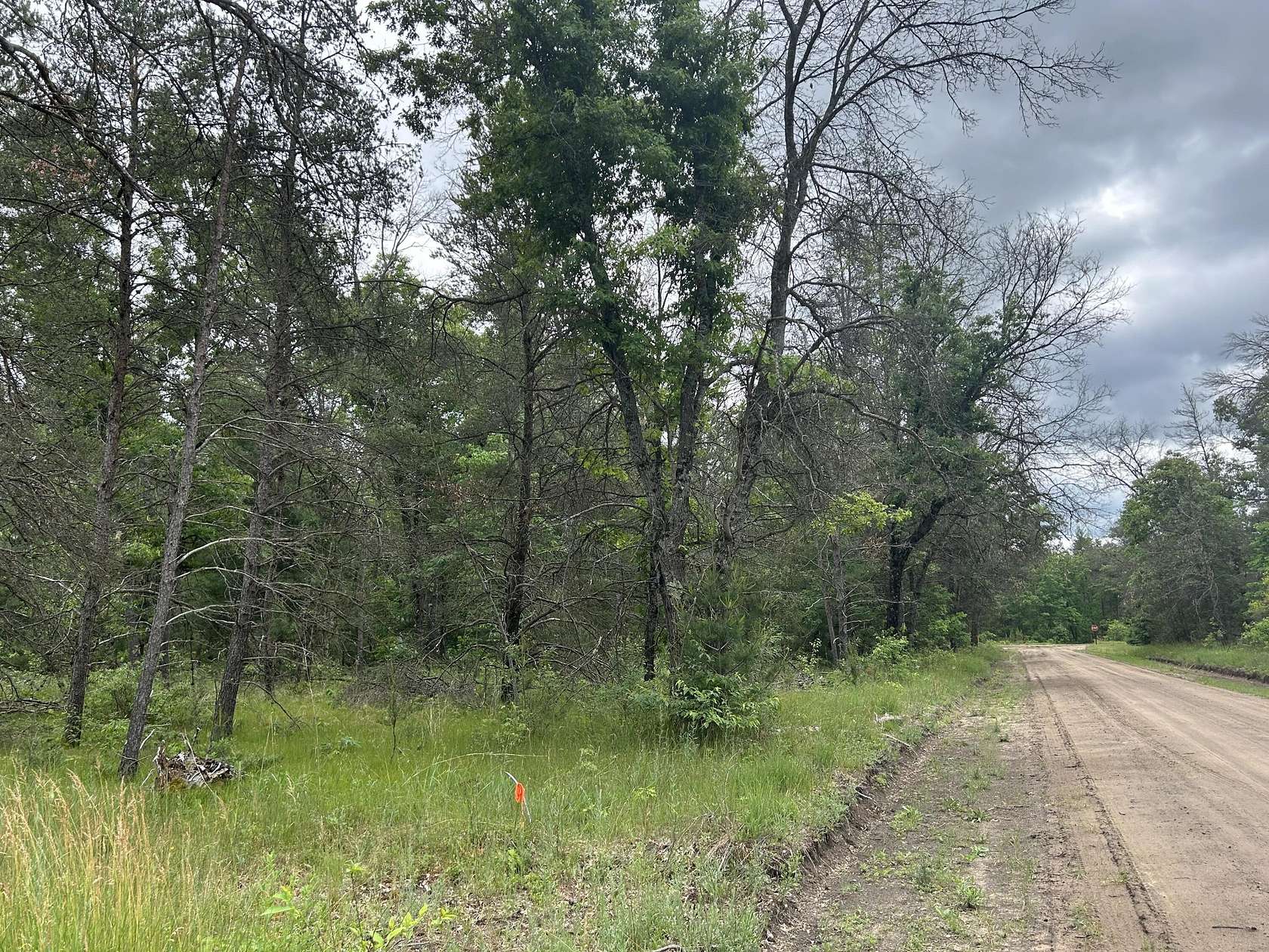 1.58 Acres of Land for Sale in Baldwin, Michigan