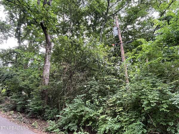 0.61 Acres of Residential Land for Sale in Knoxville, Tennessee