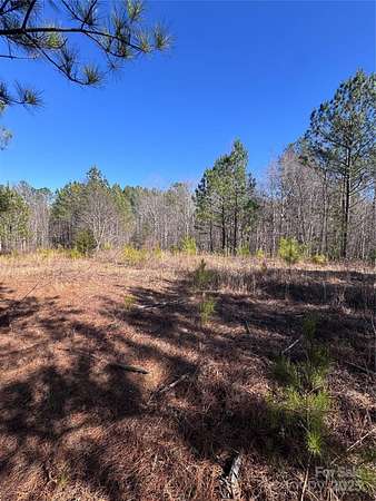 3.72 Acres of Residential Land for Sale in Rutherfordton, North Carolina