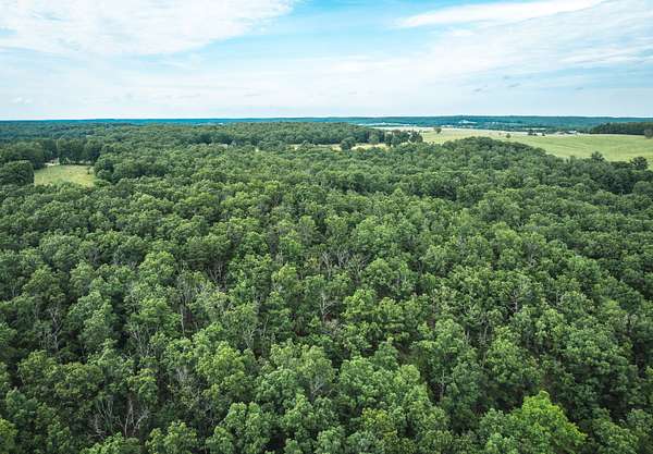47 Acres of Recreational Land & Farm for Sale in Licking, Missouri