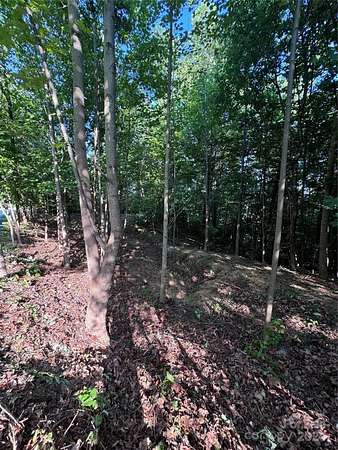 1.5 Acres of Land for Sale in Columbus, North Carolina