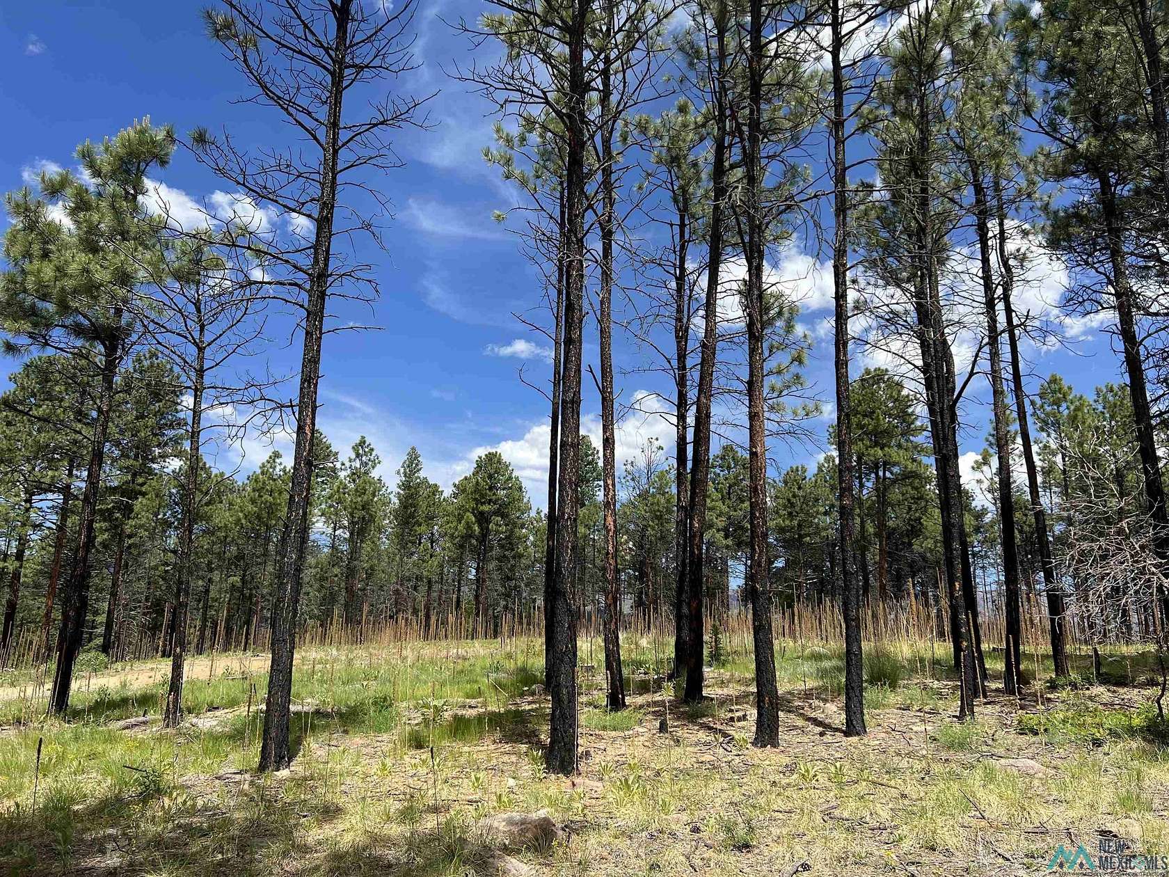 1 Acre of Residential Land for Sale in Rociada, New Mexico