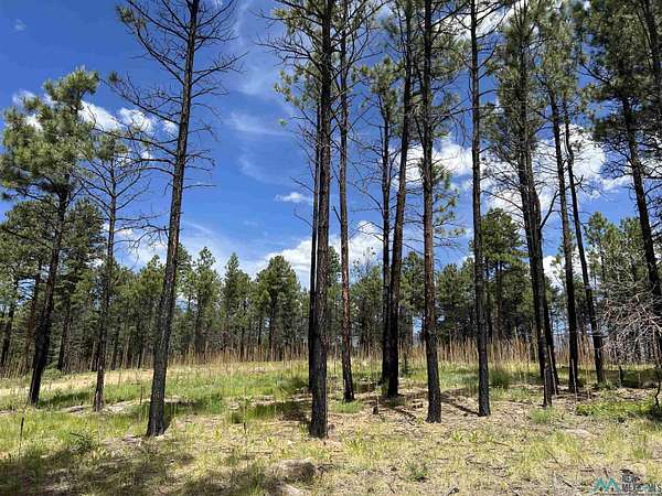 1 Acre of Residential Land for Sale in Rociada, New Mexico