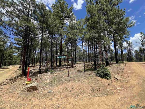 1.15 Acres of Residential Land for Sale in Rociada, New Mexico