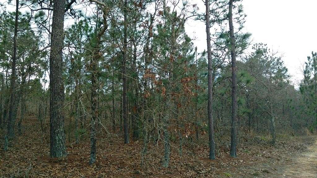 60 Acres of Land for Sale in Buena Vista, Georgia