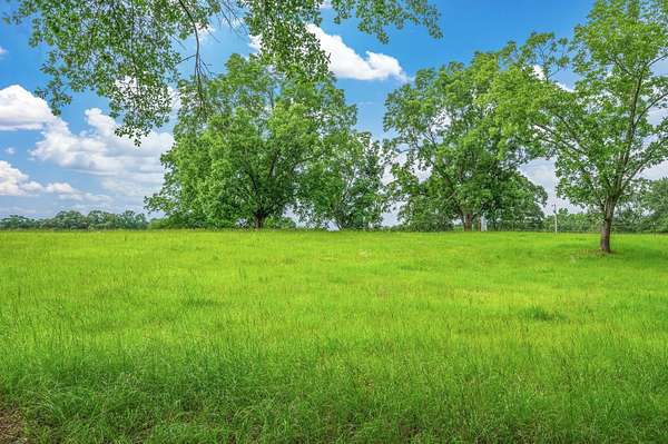 53.9 Acres of Land for Sale in Sanford, Alabama