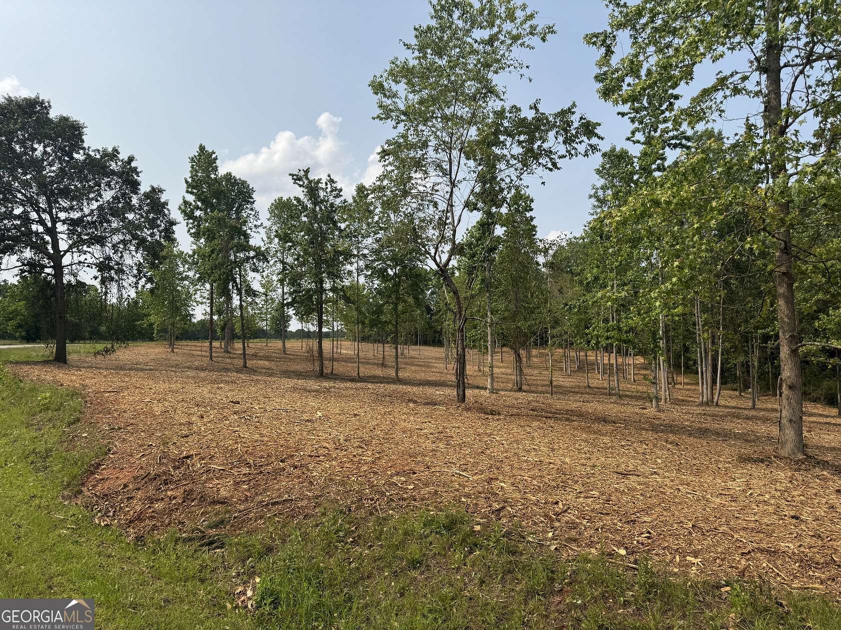 6.25 Acres of Residential Land for Sale in Roopville, Georgia