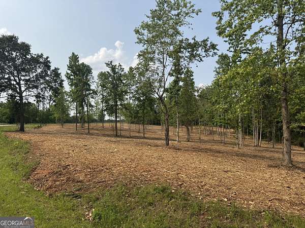 6.25 Acres of Residential Land for Sale in Roopville, Georgia