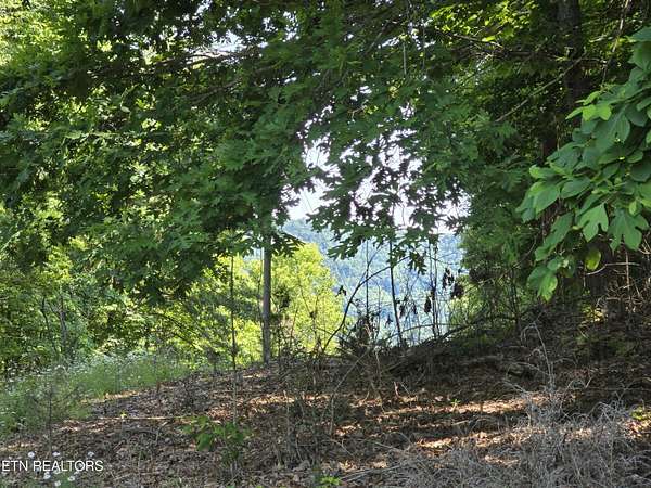 5 Acres of Land for Sale in Thorn Hill, Tennessee