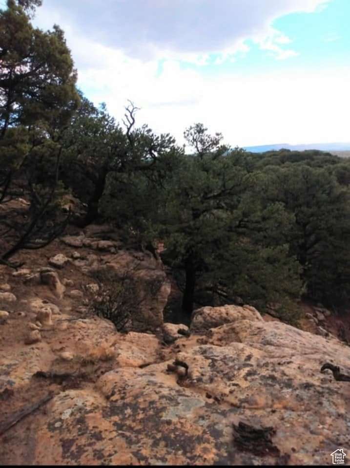 25 Acres of Recreational Land for Sale in Duchesne, Utah