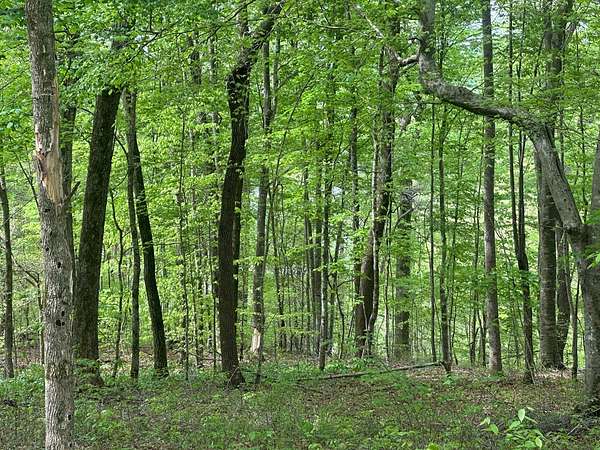 1.46 Acres of Land for Sale in Albany, Kentucky