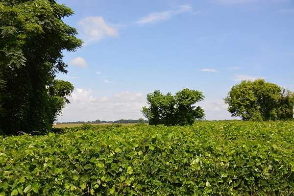 3 Acres of Residential Land for Sale in Wicksburg, Alabama