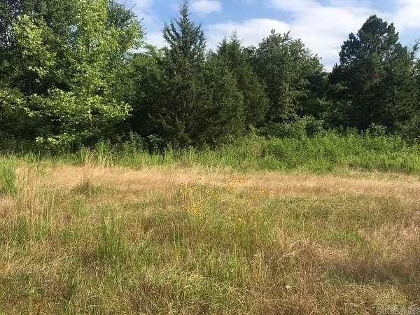 25 Acres of Land for Sale in Booneville, Arkansas