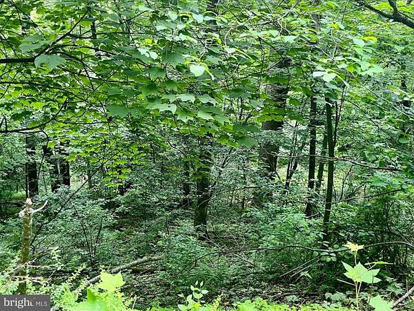 0.83 Acres of Residential Land for Sale in Luray, Virginia