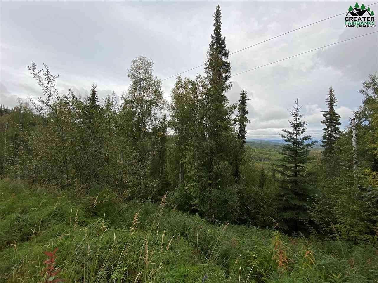 2.82 Acres of Residential Land for Sale in Fairbanks, Alaska