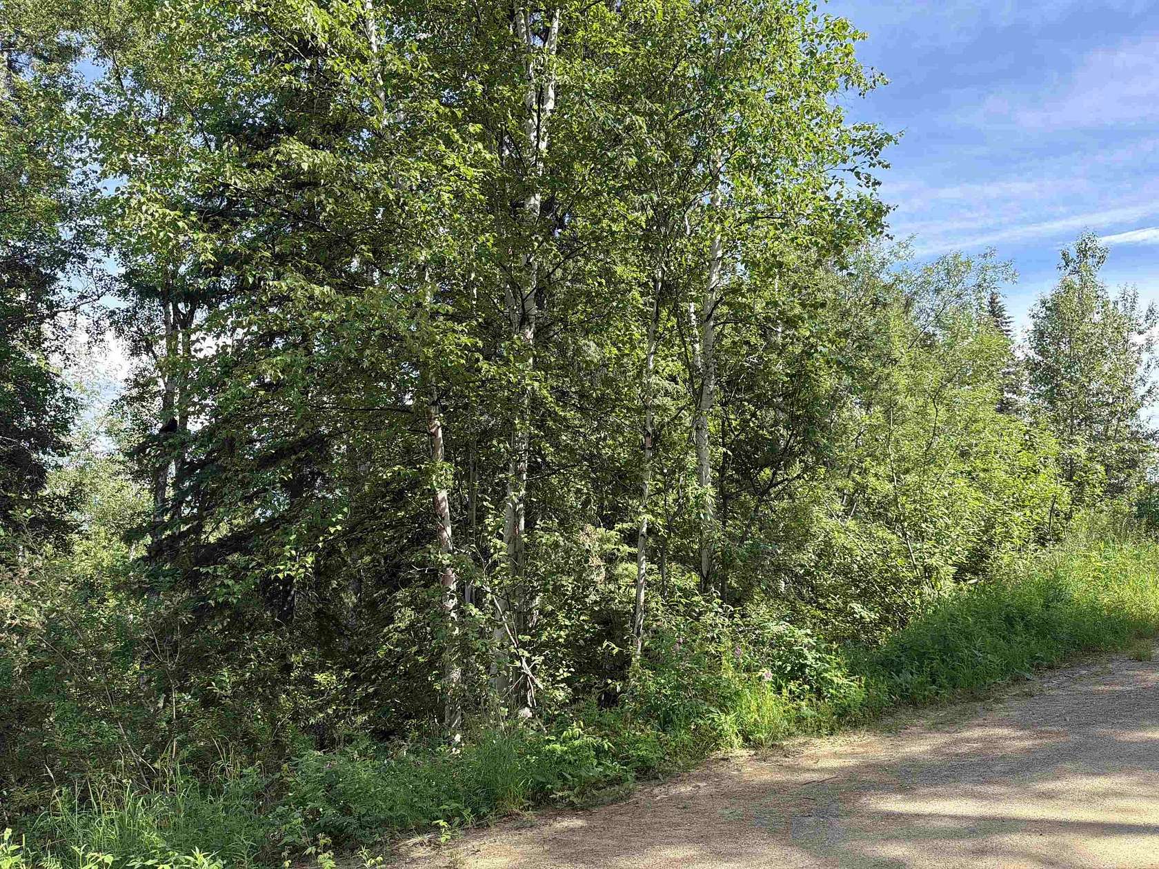 2.82 Acres of Land for Sale in Fairbanks, Alaska