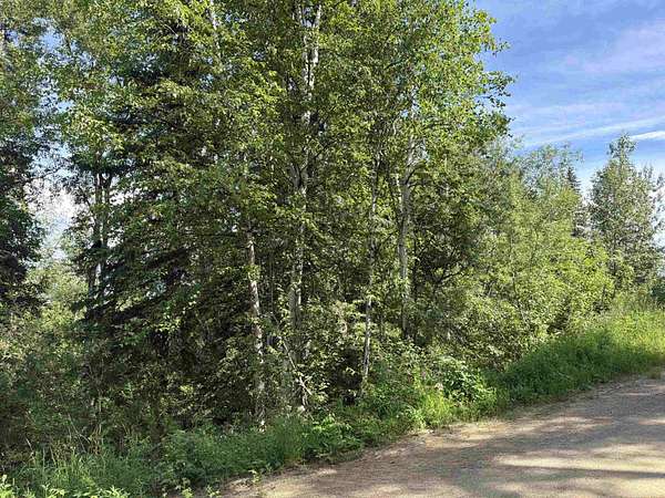 2.82 Acres of Land for Sale in Fairbanks, Alaska