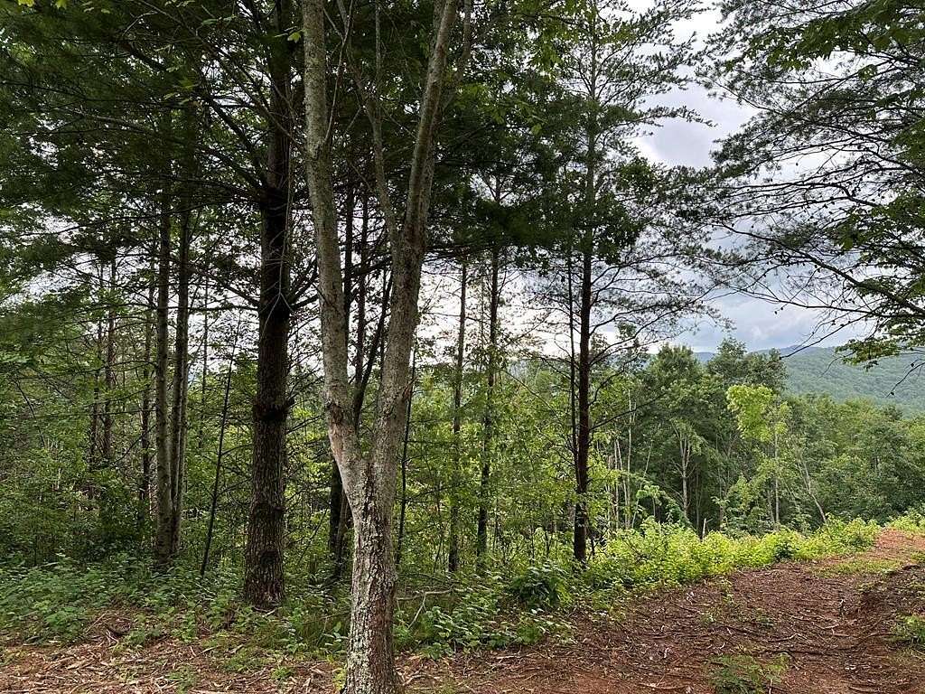 4 Acres of Land for Sale in Ellijay, Georgia