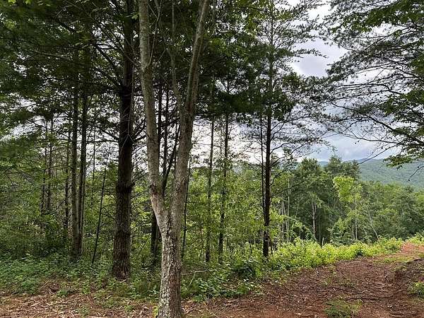 4 Acres of Land for Sale in Ellijay, Georgia