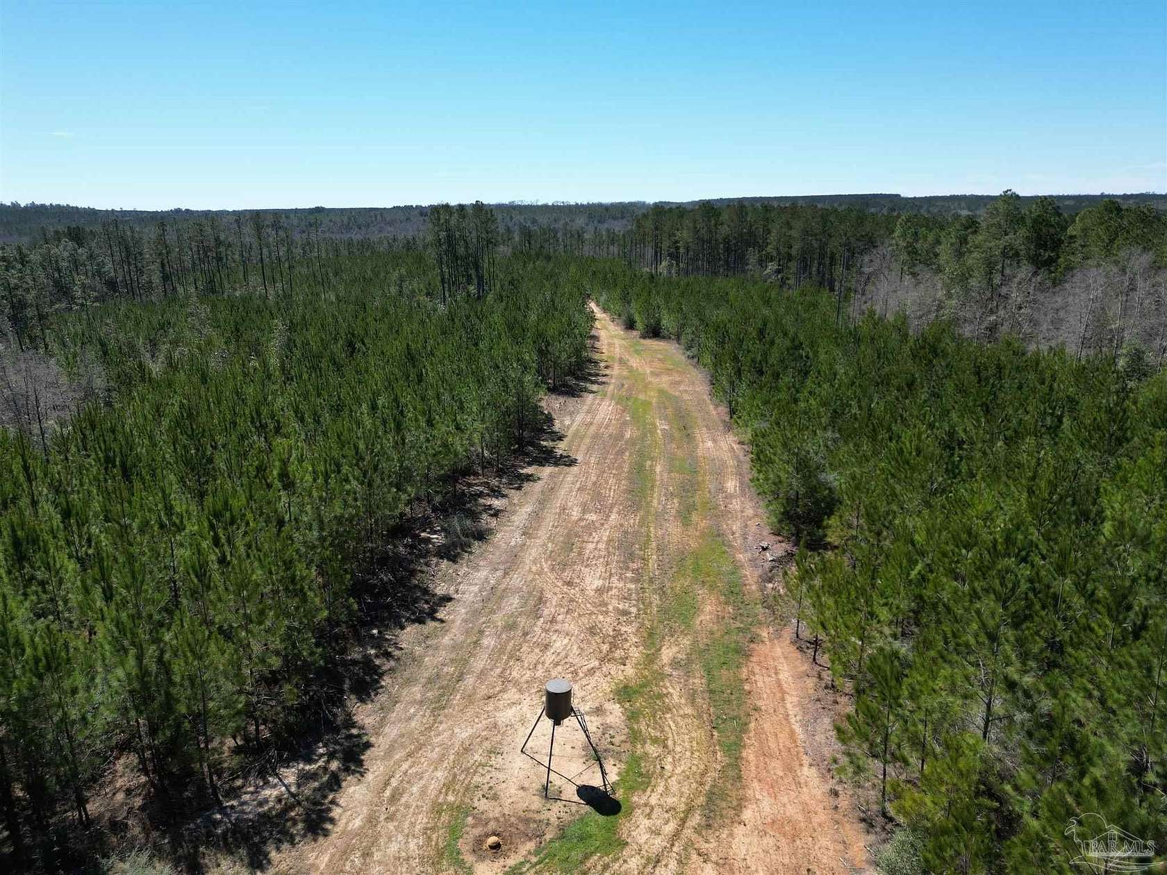 15 Acres of Recreational Land for Sale in Atmore, Alabama