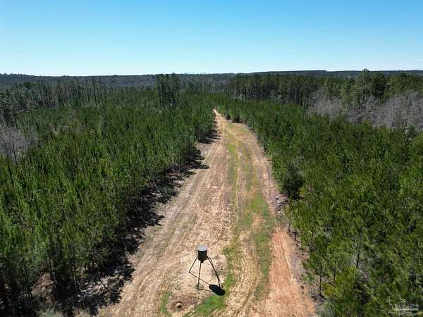 15 Acres of Recreational Land for Sale in Atmore, Alabama