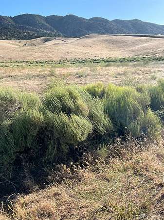 2.43 Acres of Residential Land for Sale in Tehachapi, California