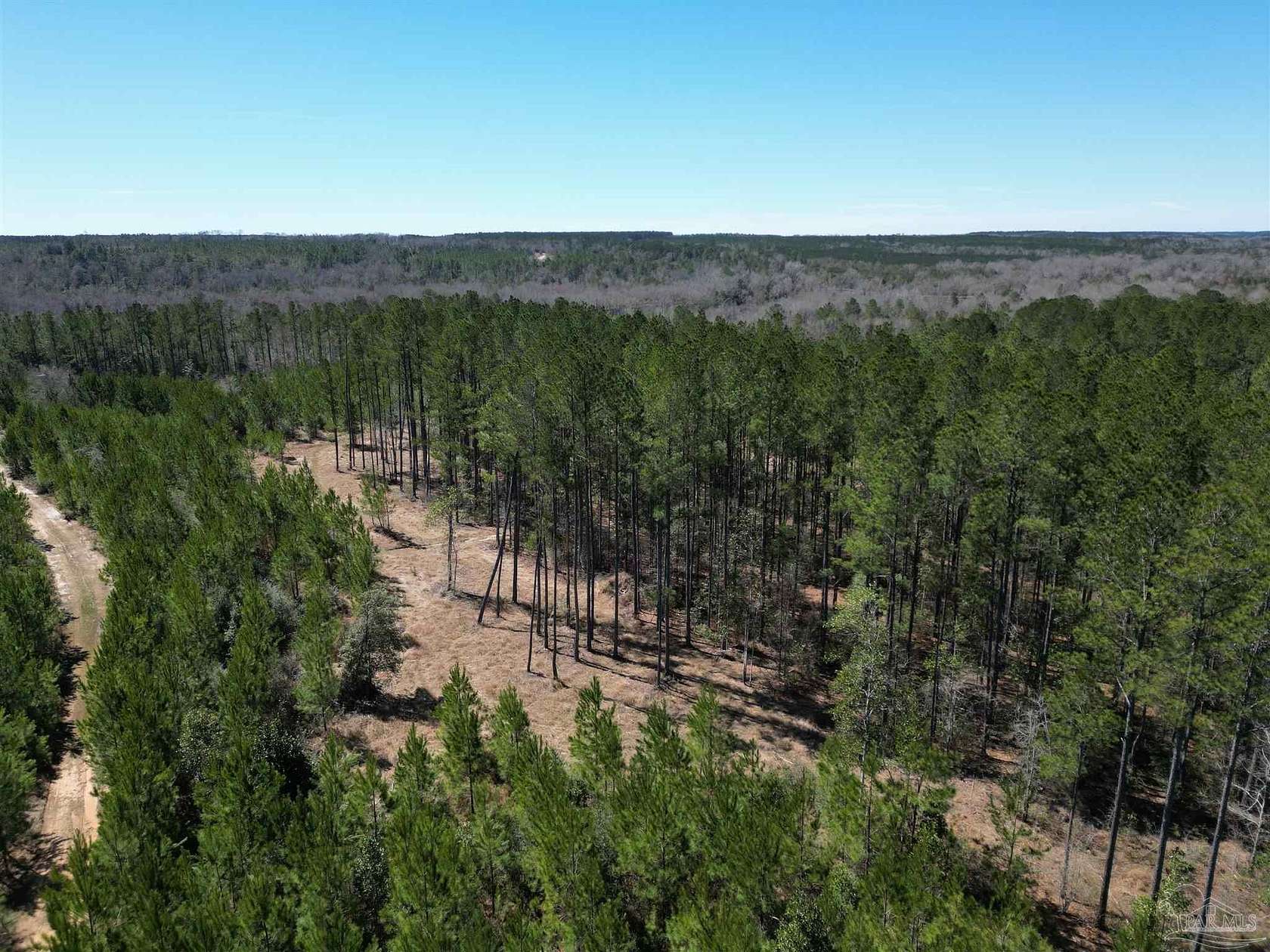 15 Acres of Recreational Land for Sale in Atmore, Alabama