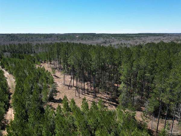 15 Acres of Recreational Land for Sale in Atmore, Alabama