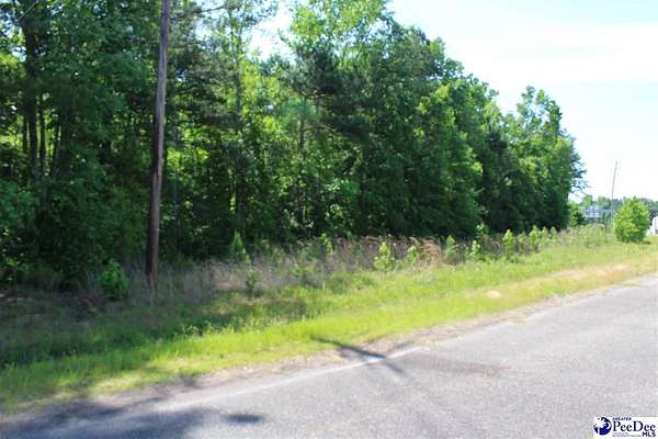 1 Acre of Residential Land for Sale in Marion, South Carolina