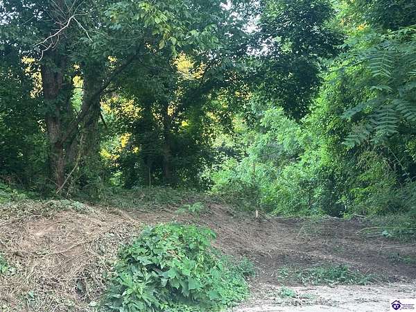 92 Acres of Recreational Land & Farm for Sale in Bradfordsville, Kentucky