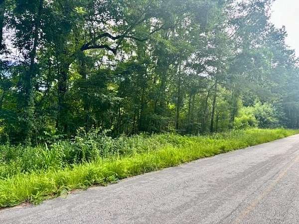 5 Acres of Residential Land for Sale in Adams Run, South Carolina