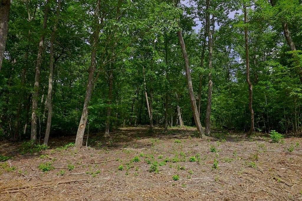 1.27 Acres of Residential Land for Sale in Spencer, Tennessee