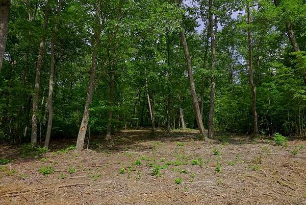 1.27 Acres of Residential Land for Sale in Spencer, Tennessee