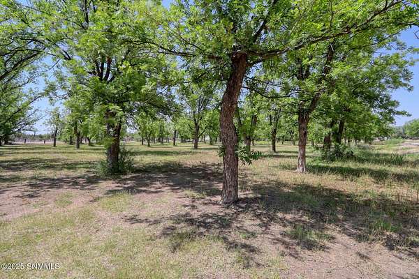 3.3 Acres of Residential Land for Sale in Mesilla, New Mexico