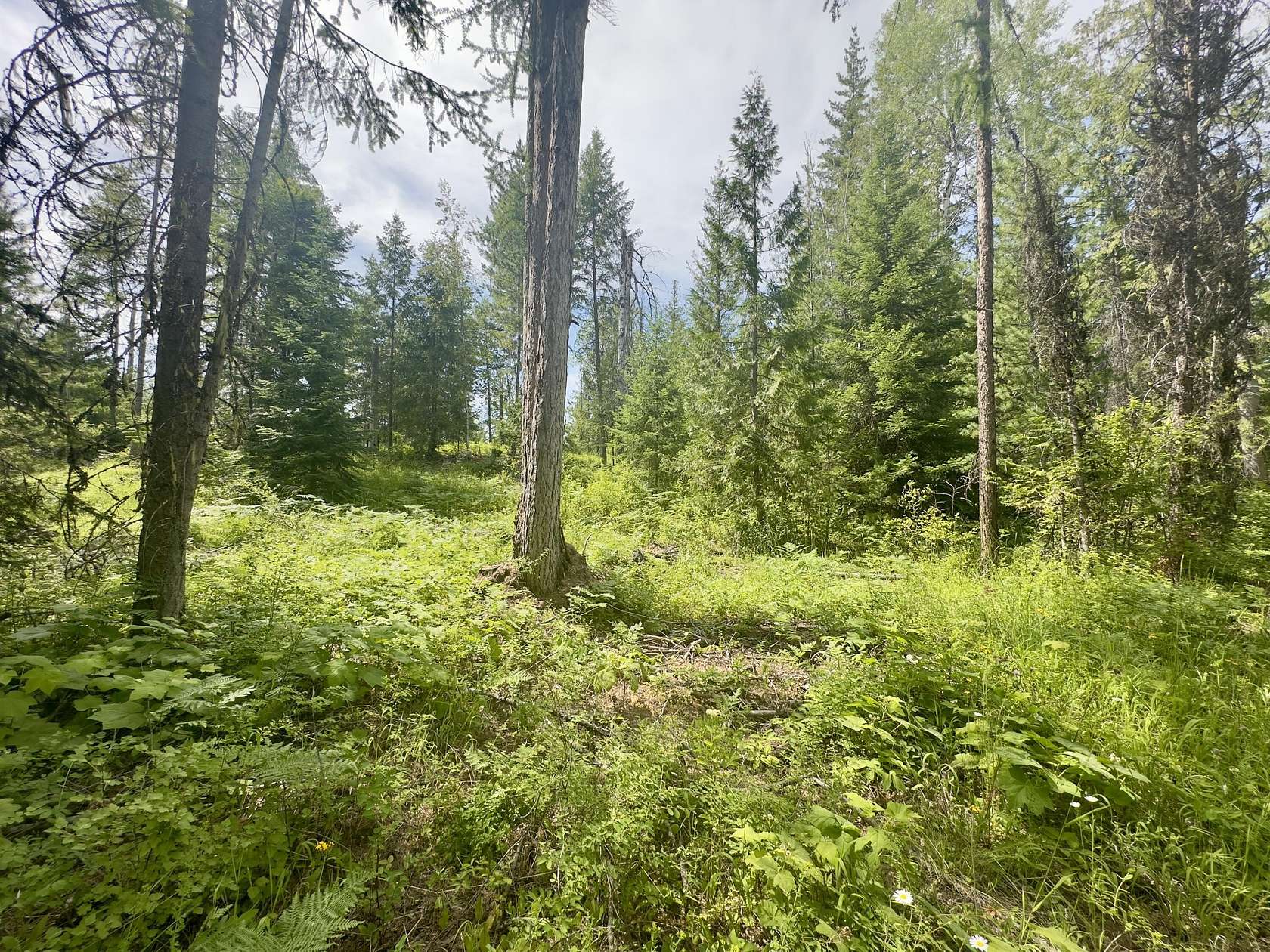 5 Acres of Land for Sale in Colville, Washington