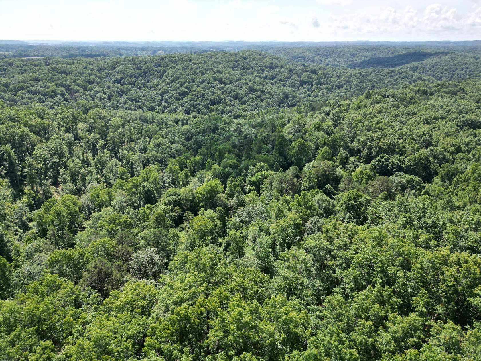 370 Acres of Land for Sale in East Bernstadt, Kentucky