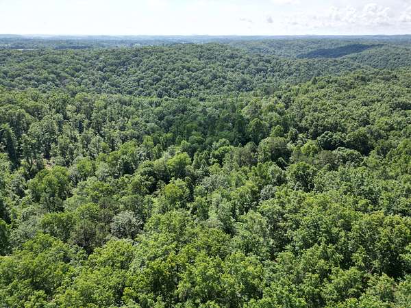 370 Acres of Land for Sale in East Bernstadt, Kentucky