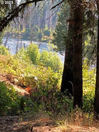 2 Acres of Residential Land for Sale in Blue River, Oregon