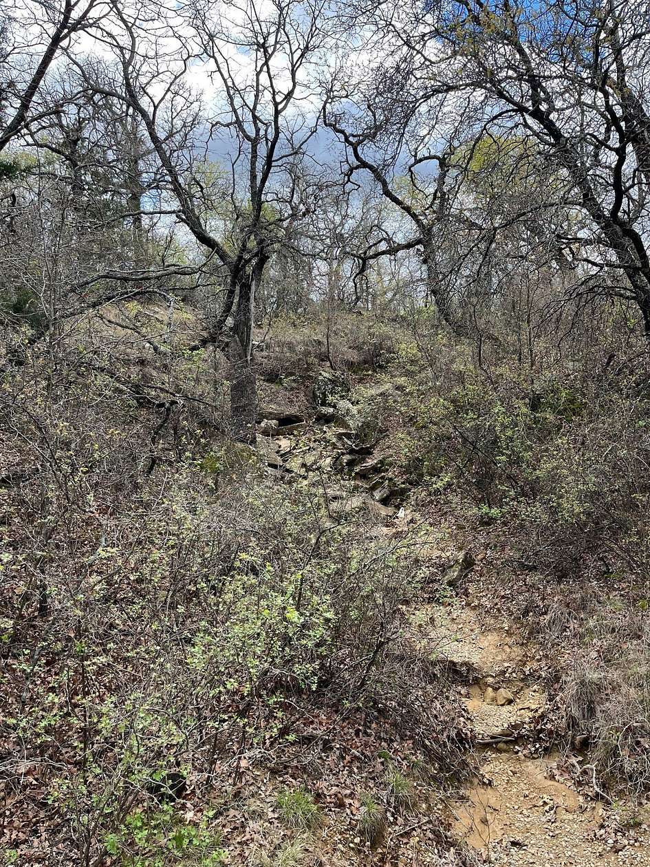 17.2 Acres of Land for Sale in Jacksboro, Texas