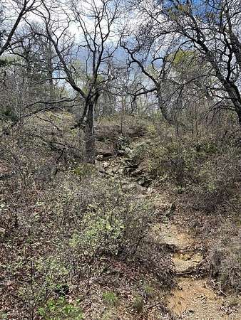 17.2 Acres of Land for Sale in Jacksboro, Texas